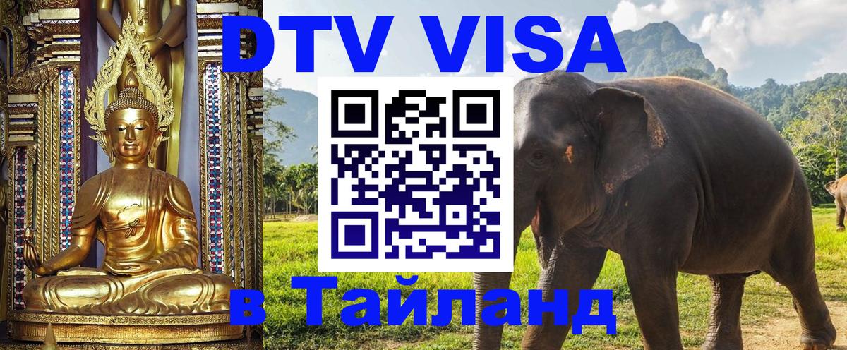 Сколько стоит DTV виза — актуальные цены, оформление даже без документов - 